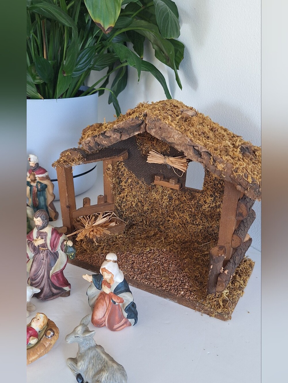 Nativity Scene - Picture 5 of 17
